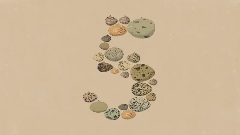 A imagem de capa do anúncio do Claude Opus 5, no blog da Anthropic.